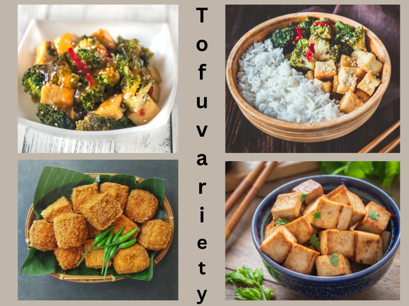 variety of tofu
